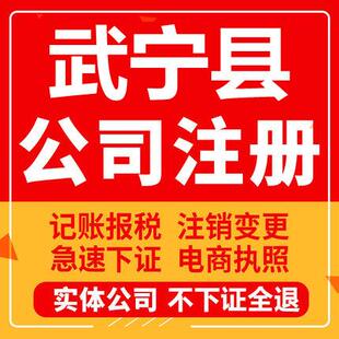 武宁公司注册个体工商营业执照代办公司注销企业变更股权异常