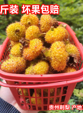 26年贵州野生鲜果刺梨 新鲜刺梨果 维C水果泡酒泡茶榨汁 现摘