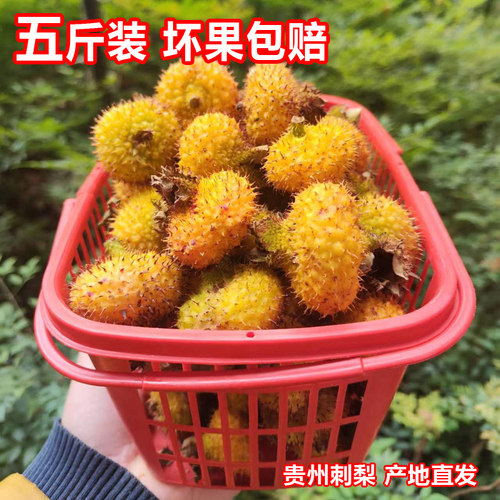 26年贵州野生鲜果刺梨 新鲜刺梨果 维C水果泡酒泡茶榨汁 现摘