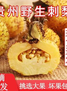 新鲜刺梨鲜果5斤泡酒贵州特产野生刺梨维vc水果现摘现发应季刺梨