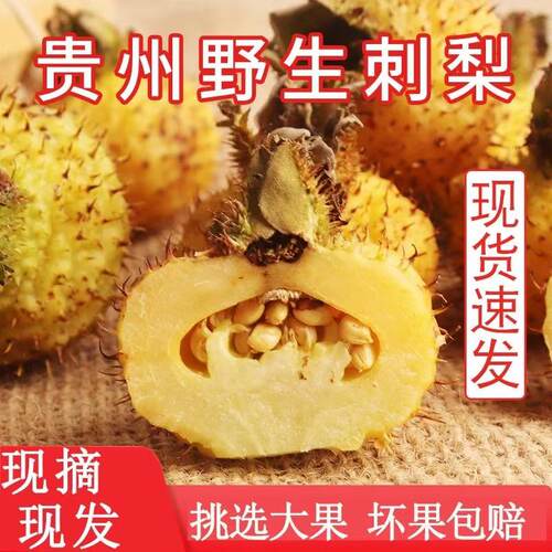 新鲜刺梨鲜果5斤泡酒贵州特产野生刺梨维vc水果现摘现发应季刺梨