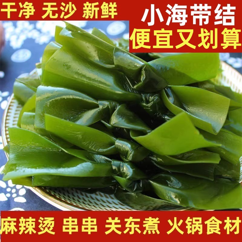 盐渍小海带结新鲜商用无沙非干货特厚海带扣串串麻辣烫火锅食材
