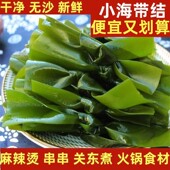 盐渍小海带结新鲜商用无沙非干货特厚海带扣串串麻辣烫火锅食材