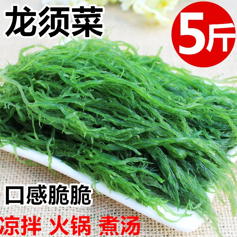 盐渍龙须菜海草5斤新鲜海菜食用海藻菜凉拌菜串串麻辣烫火锅食材