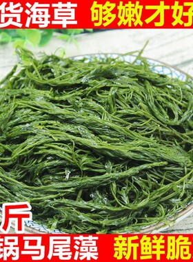 马尾藻海草5斤 新鲜羊栖菜盐渍鞭炮笋海藻菜麻辣烫串串火锅食材