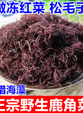 珍稀海藻做冻红菜250克福安松毛子正宗野生鹿角菜天然海藻菜