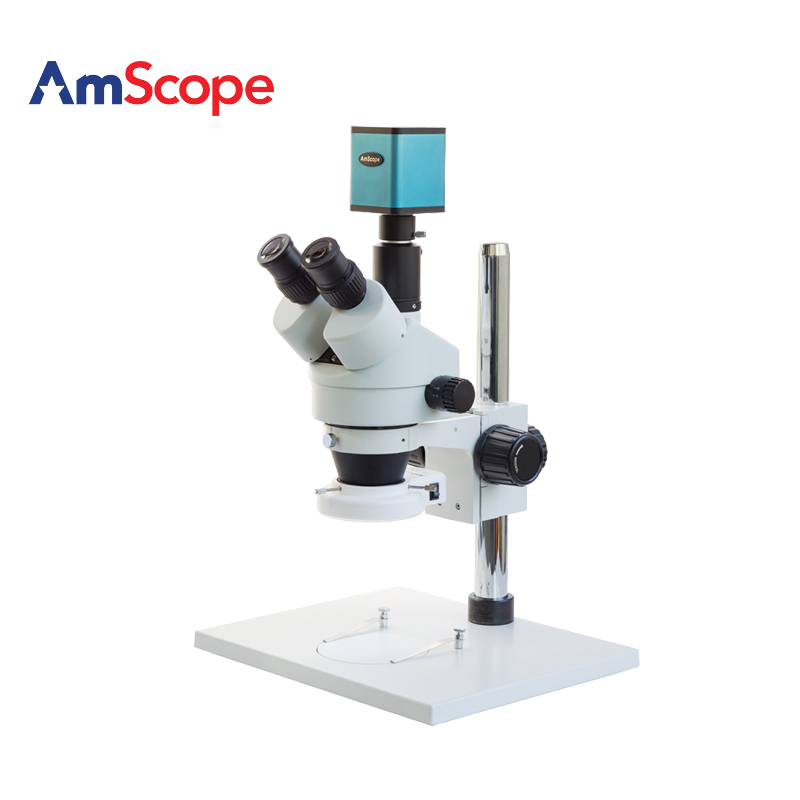 amscope体视显微镜带电子目镜