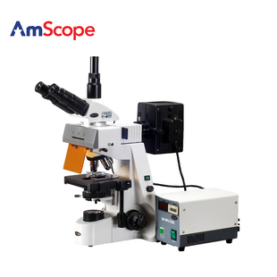 AmScope 2500x 宽场EPI荧光显微镜生物显微镜 40x