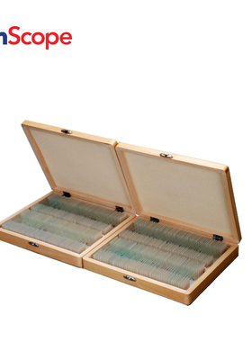 AmScope 200pc制备的玻璃显微镜载玻片植物真菌昆虫哺乳动物标本