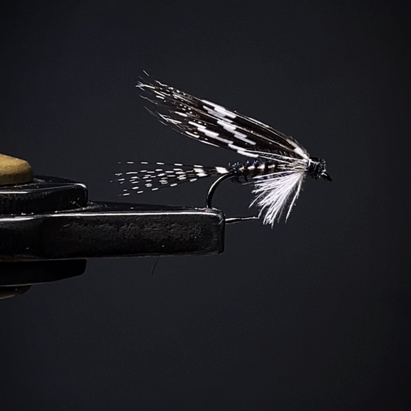 Y052北京路亚湿蝇饰带蜉蝣石蚕蛾飞蝇钩飞钓马口溪哥白条鳟鱼