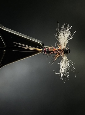 y124北京飞钓马口溪哥鳟鱼蜉蝣石蚕蛾路亚飞蝇钩毛毛虫