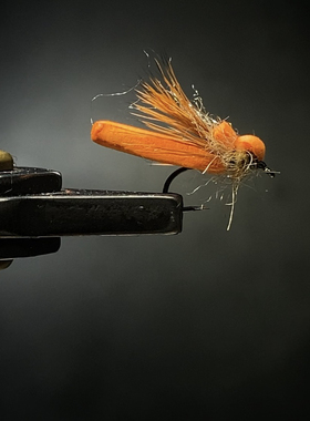 Y164北京路亚飞蝇钩泡沫浮水干式石蚕蛾飞钓鳟鱼饵昆虫仿生饵