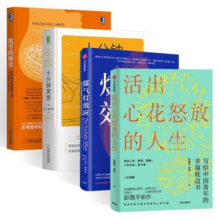 活出心花怒放的人生+煤气灯效应+十分钟冥想+欲望的博弈 四册 罗宾·斯特恩 著