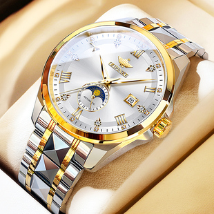 官方旗舰店十大 全自动商务防水手表男正品 瑞士品牌男士 机械表新款