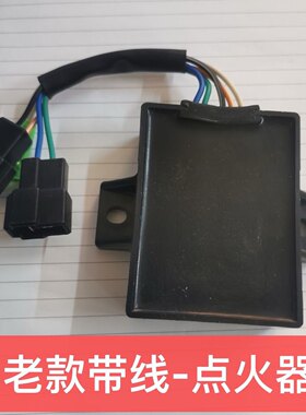 适用 老款GN125铃木太子 钻豹老款HJ125-A 老款EN锐爽 点火器 CDI