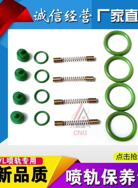 CNG燃气喷轨 OMVL喷轨弹簧密封圈爱丽舍悦动世嘉帝豪nt401修理包