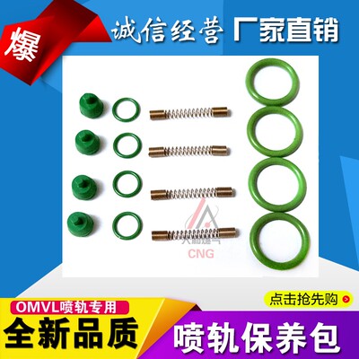 cng燃气喷轨配件弹簧密封圈