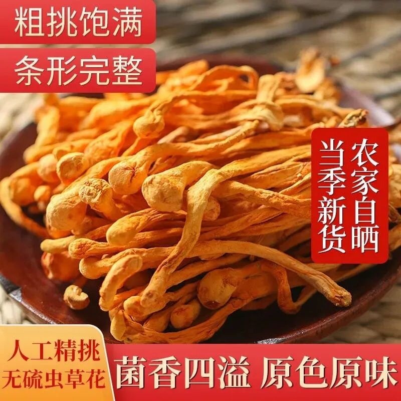 无硫头茬粗条虫草花干货煲汤火锅