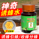 神奇招蜂水诱蜂水诱蜜蜂野外专用引蜂分蜂养蜂工具诱蜂液送诱蜂蜡