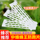 中蜂防跑片养蜂工具塑料防跑片蜂箱巢门隔王片蜂王防逃器王笼蜂具