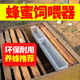 蜂具养蜂专用工具1.5kg中蜂意蜂饲喂器加厚蜜蜂喂水糖器30个 包邮