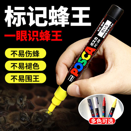 进口日本产环保做记号新品蜂王