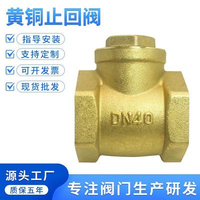 水表水管前卧式铜止回阀