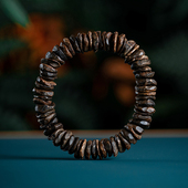 天然野越南芽庄白奇楠沉香手串沉水级高端虫漏棋楠手链女男款 随形