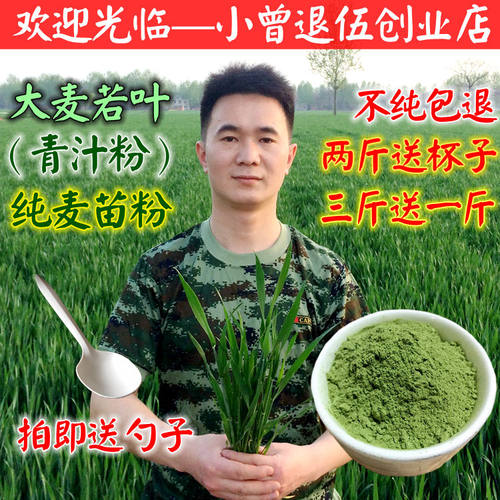 青汁大麦若叶500克青团粉
