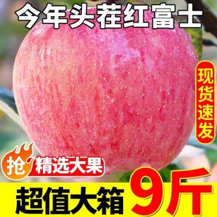 包邮 2025年现摘新鲜水果当季 红富士脆甜丑苹果香甜多汁整箱9斤