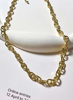 欧美猪鼻子项链简约锁骨链女网红小众设计高级感女insT恤项链女