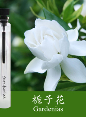 初闻栀子花香水清新持久淡香自然小众品牌学生少女纯植物花香