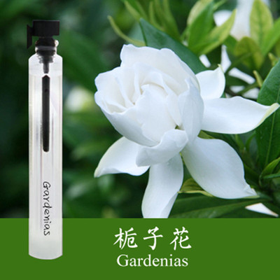 6-100毫升花香型偶遇私家