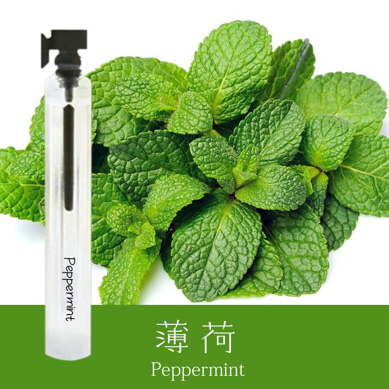 初闻香水薄荷味香水小众清新冷香