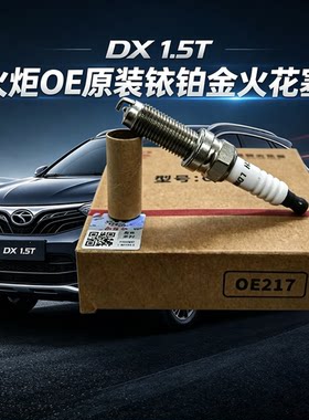 火炬OE217铱铂金火花塞LDK8RTIP-A启辰星启辰T90大VT5游艇DX7原装