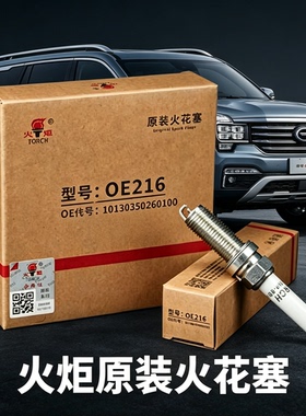火炬OE216/铱铂金火花塞/传祺GS8双擎M8影豹M6 PRO VH8RTIP-8BV