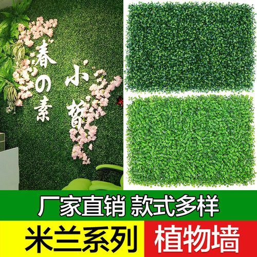 彩色米兰草仿真植物假草坪壁挂草