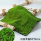 Красное дно мох 50 × 50