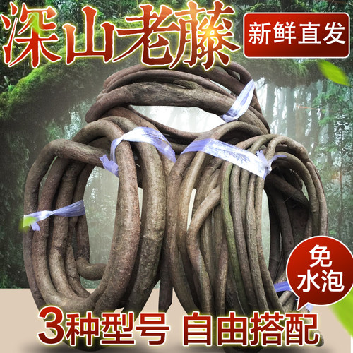 大山古树藤蔓树藤藤须粗细可选