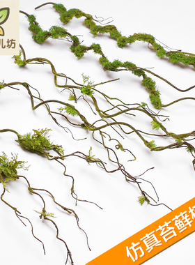 仿真苔藓青苔枯树枝树藤条树杈绿植物背景墙弯曲造型造景摆放装饰