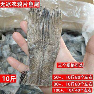 无冰衣鸦片鱼尾10斤50+80+可选新鲜冷冻火锅烧烤蝶鱼酒店商用食材