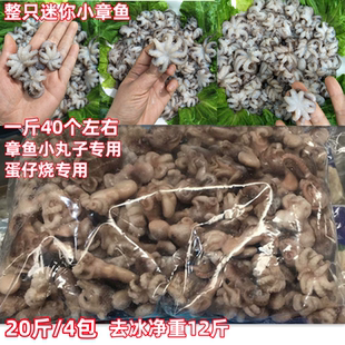 新鲜迷你八爪鱼20斤去内脏冷冻海鲜章鱼小丸子蛋仔烧专用火锅包邮