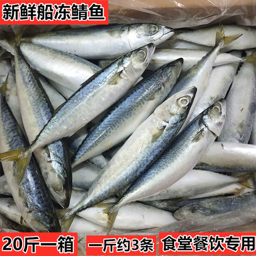 船冻青占鱼20斤野生海捕新鲜海鲜冷冻青花鱼青鱼小头鱼鲐鲅鱼包邮 - 封面