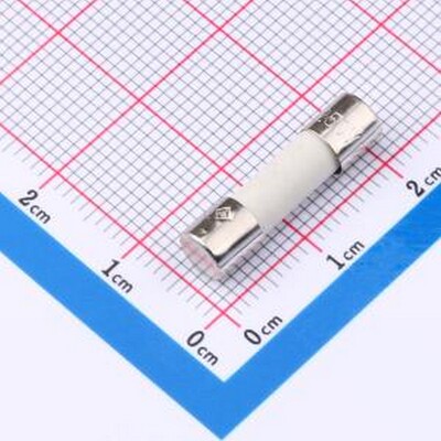 0215020.MXP 一次性保险丝 250V