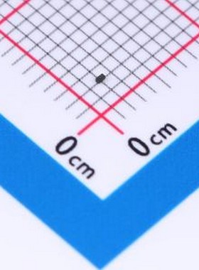 10只 PESD24VF1BBSFYL(ES) 静电和浪涌保护(TVS/ESD) 0.12pF 24V
