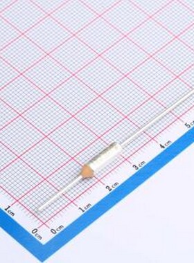 RT167 温度保险丝(TCO) RT167 DIP