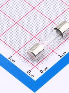 SGF520-2A F2AL250V 一次性保险丝 fuse 小型熔断器/电流保险丝 D