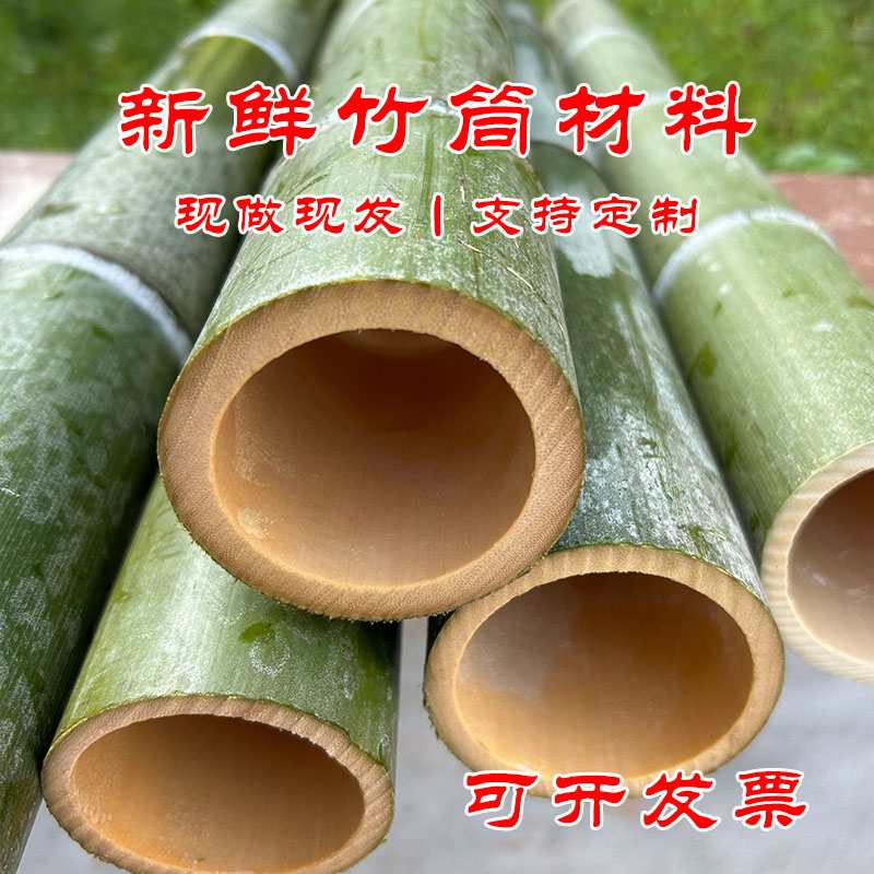 新鲜竹筒楠竹原生态现做竹筒竹竿园艺造景装饰摆件竹子可定制尺寸