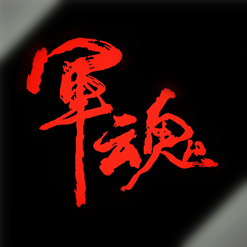 防水反光汽车贴纸拉花箱包电动摩汽车装饰贴/反光贴