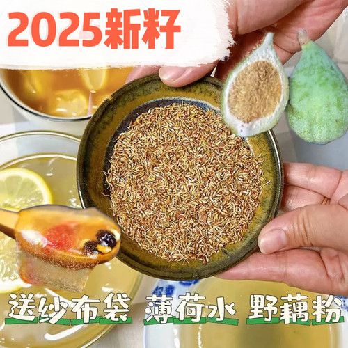 2025年新货木莲籽做木莲豆腐籽浙江江西特产干货霹雳籽爱玉籽包邮